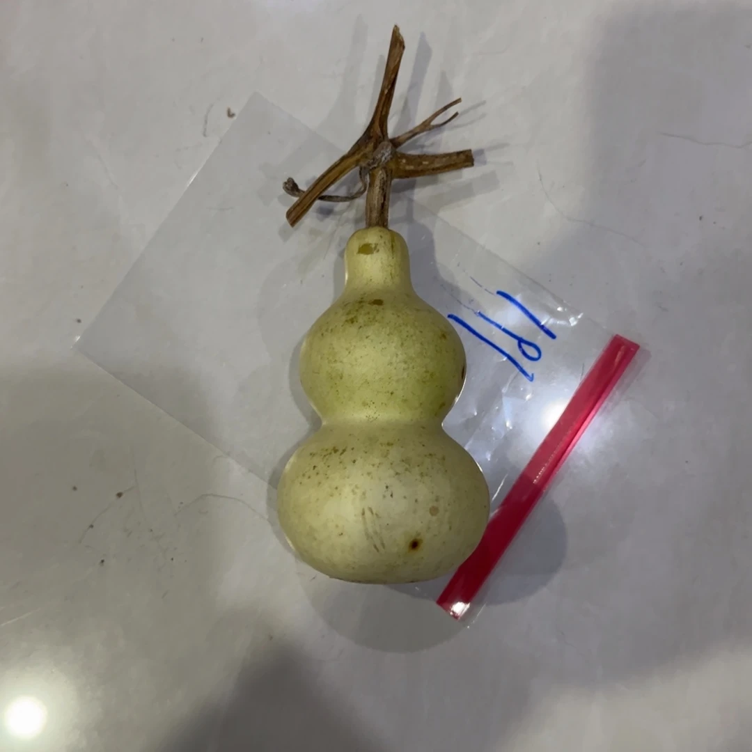 O***O青皮不包成青皮不包成