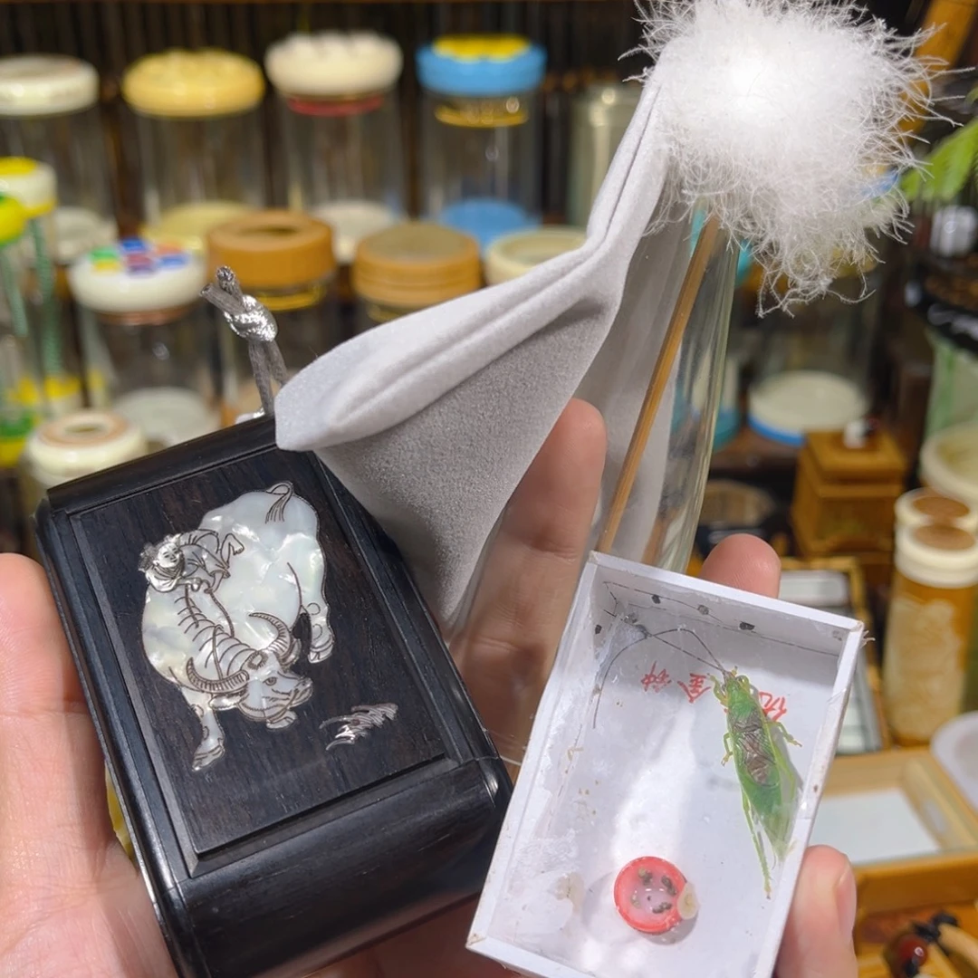 蟋蟀红木竹蛉盒+过虫器+布套+绿金钟