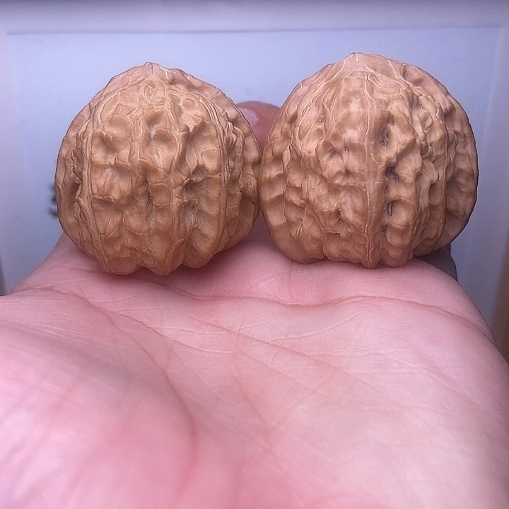 核桃小尺寸三角白