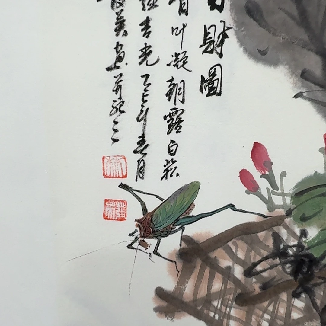 国画新号开播福利多多