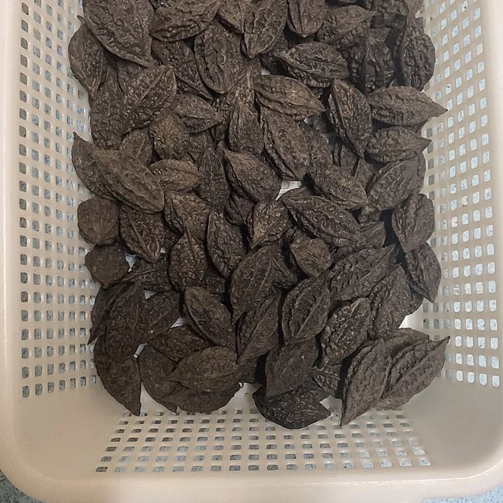 吊坠橄榄核地闷秋子核桃