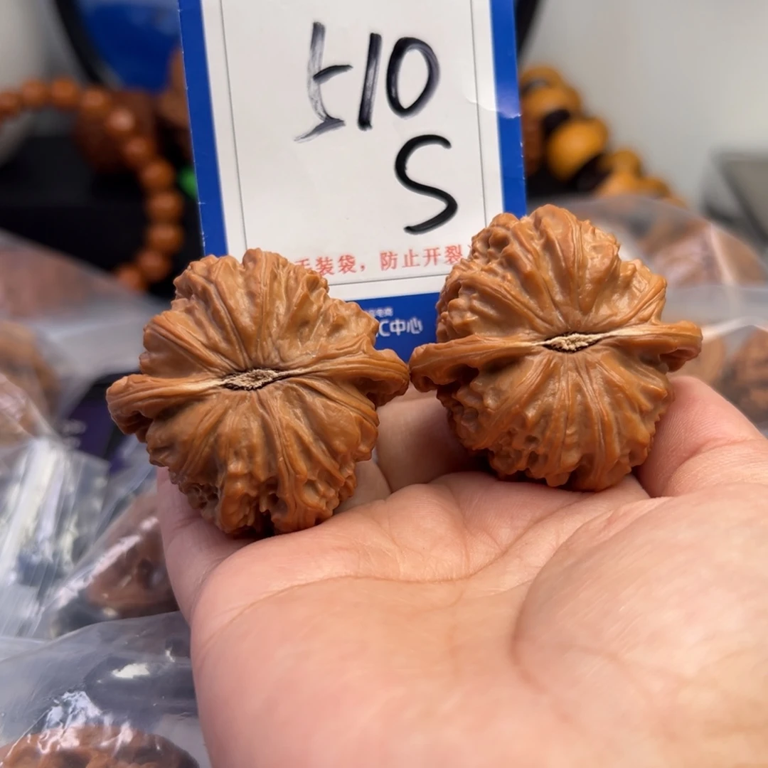 把件桃核510号白狮子44