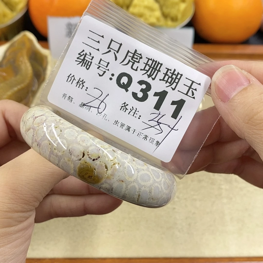 硅化珊瑚（珊瑚玉）1未镶嵌成*