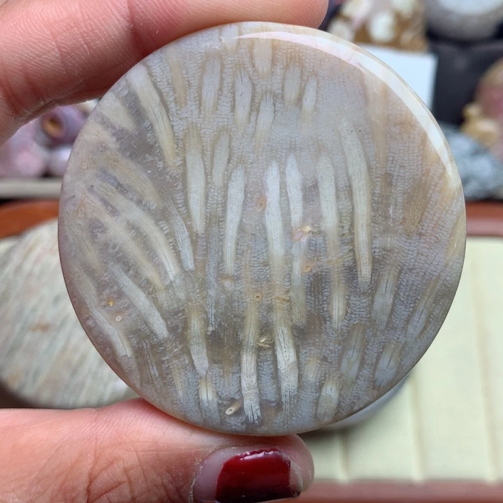 硅化珊瑚（珊瑚玉）颈饰未镶嵌