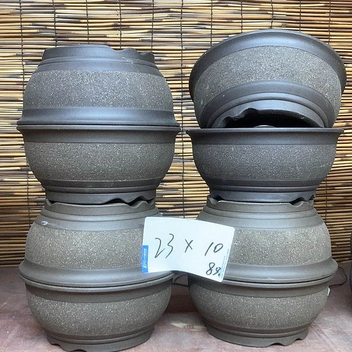 花盆紫砂我在你心里