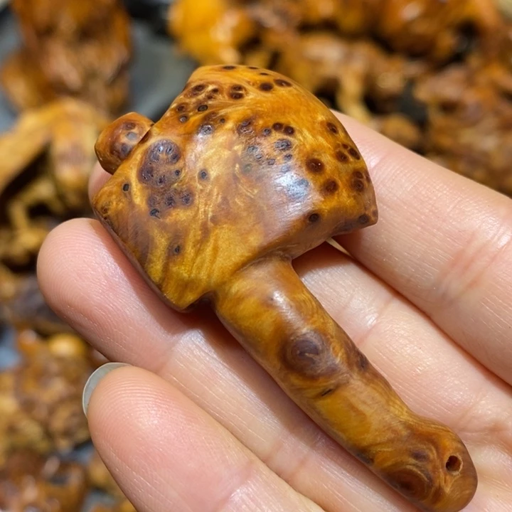 柏木太行崖柏陈化