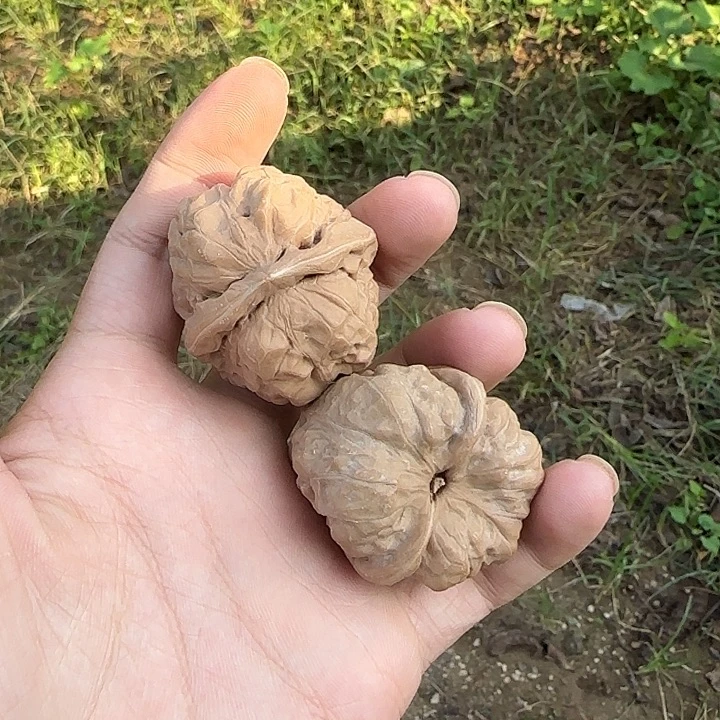 鱼***源吊坠文玩核桃蛤蟆