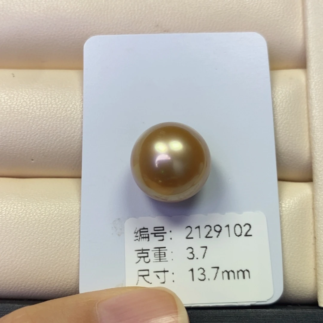 海水珍珠裸珠浓金无瑕13.7mm