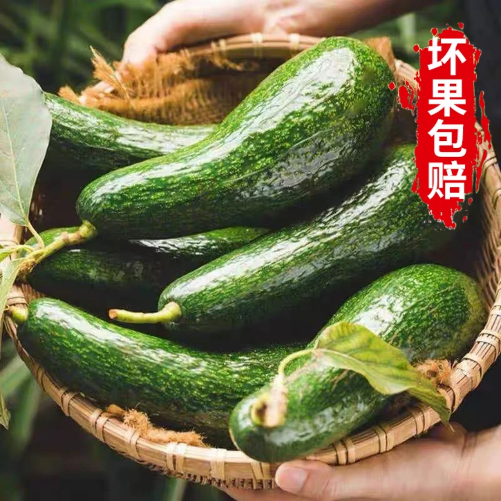 【现货新品】长条形牛油果新鲜软糯热带水果孕妇宝宝辅食丝瓜形鳄梨