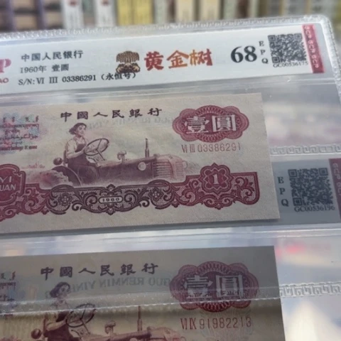 三版一元黄金树一张3113