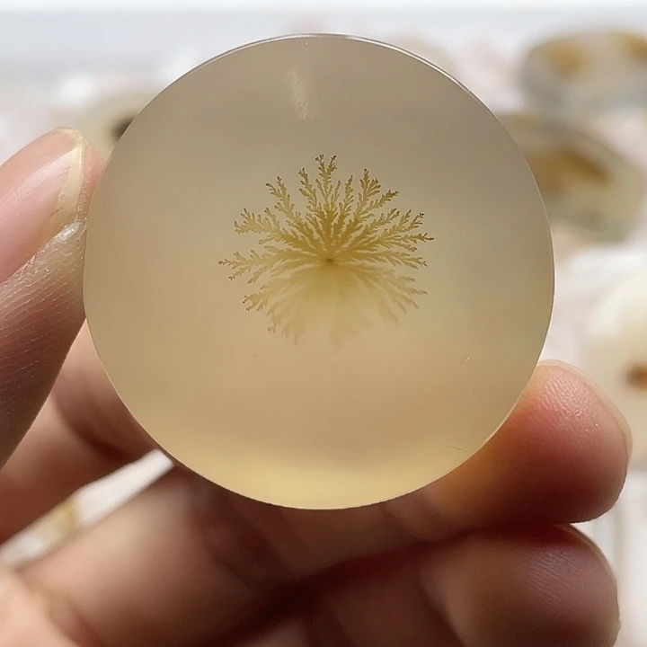 青***蕻玛瑙/玉髓未镶嵌颈饰