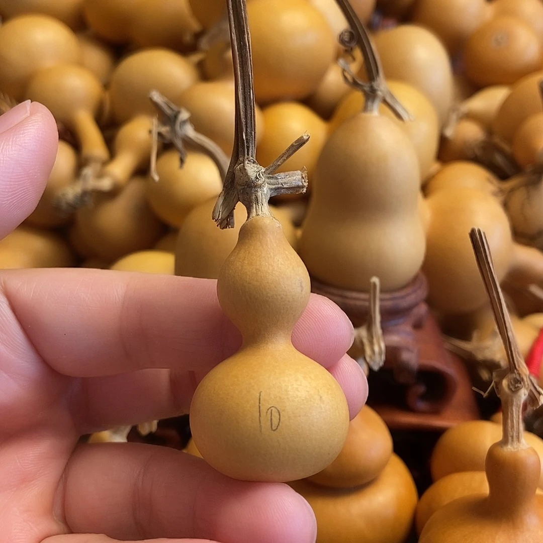 文玩葫芦 完美主义者 慎拍10