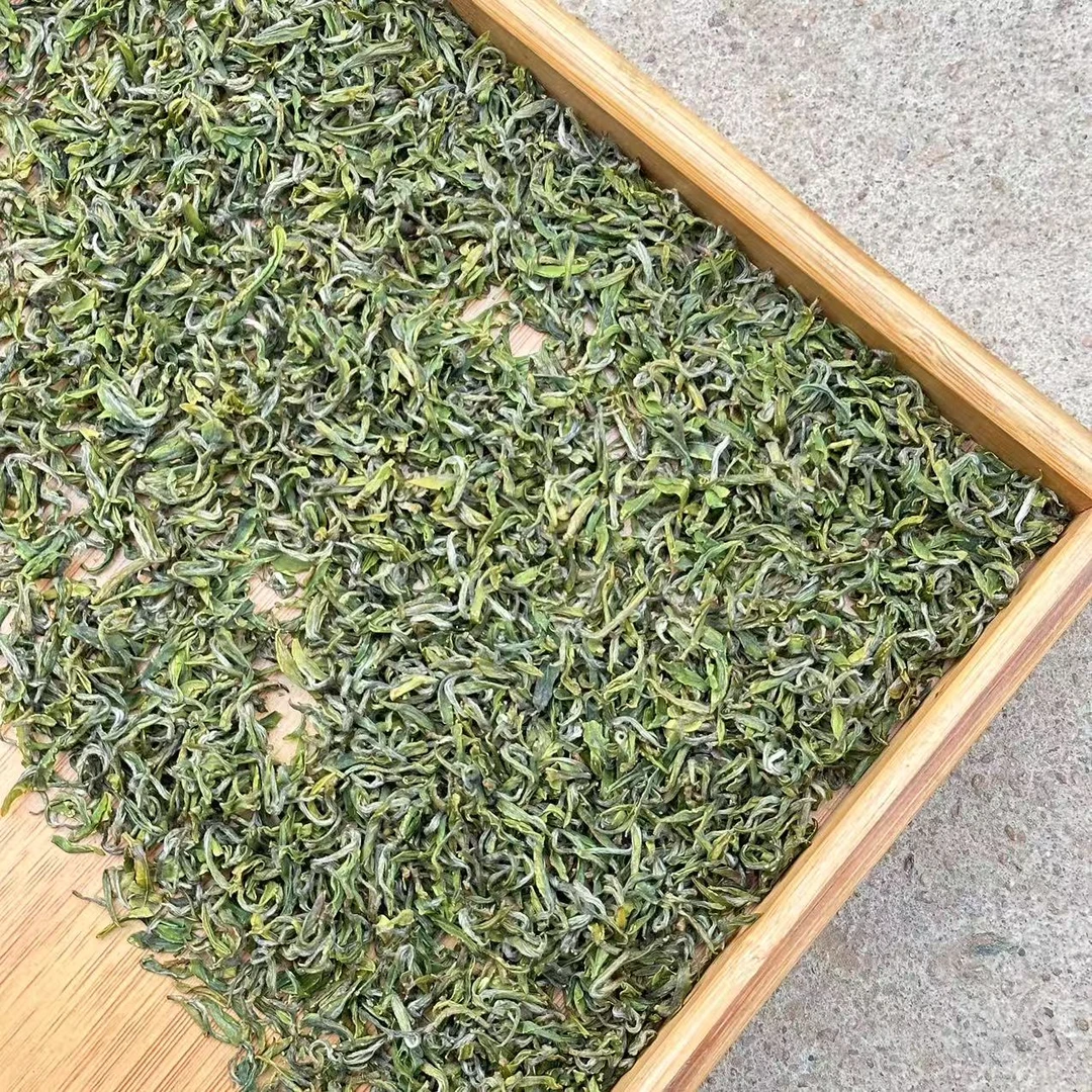 【自家茶园】【同道春】日照绿茶2025年纯露天春茶