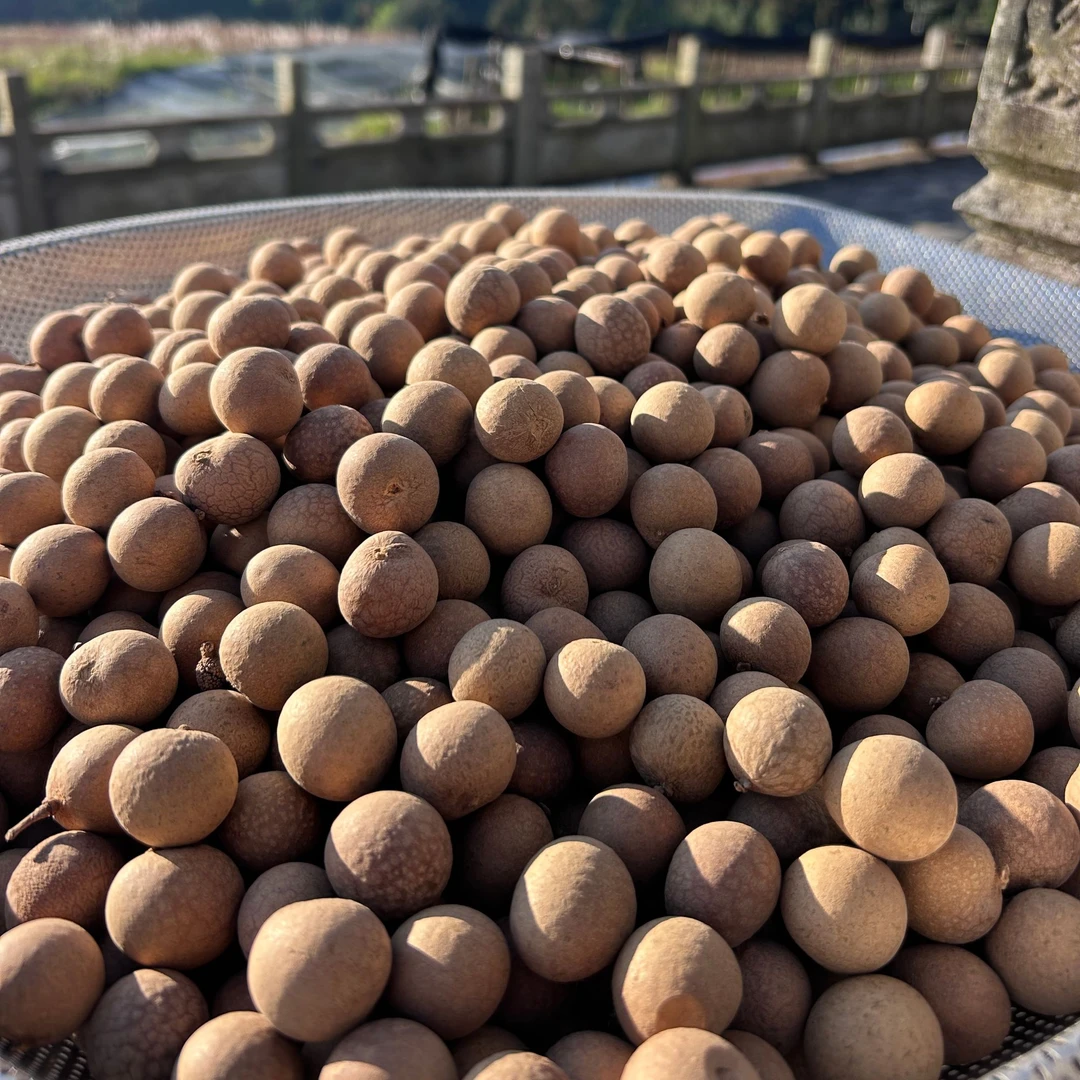 【中缅越土特产】现收  农家桂圆干 食用农产品