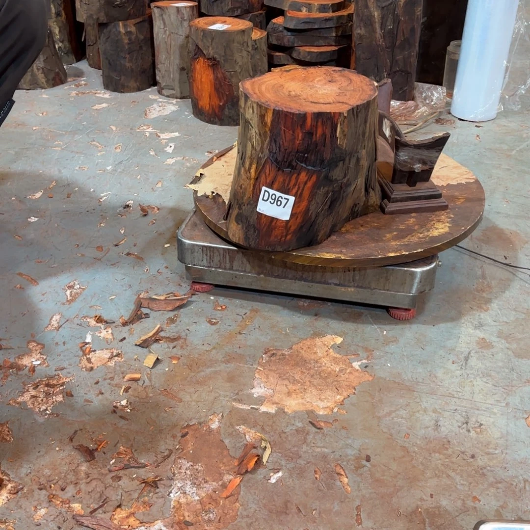 绿泥一物一拍血檀编码967