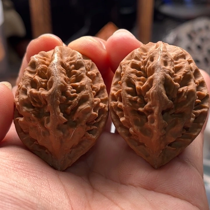 文玩核桃把件楸大胖51