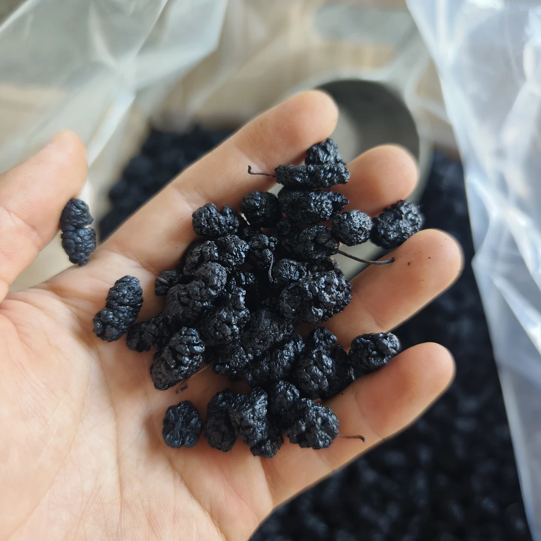 四川黑桑葚干头茬大果无沙自然晾晒香甜饱满可泡茶泡酒10筛以上