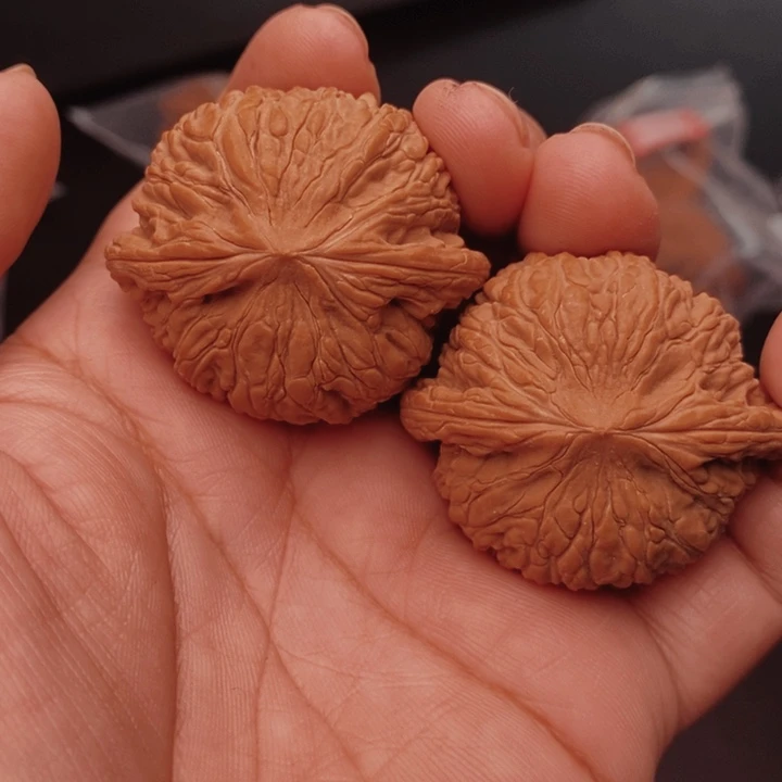 核桃泥鳅背41尺核桃