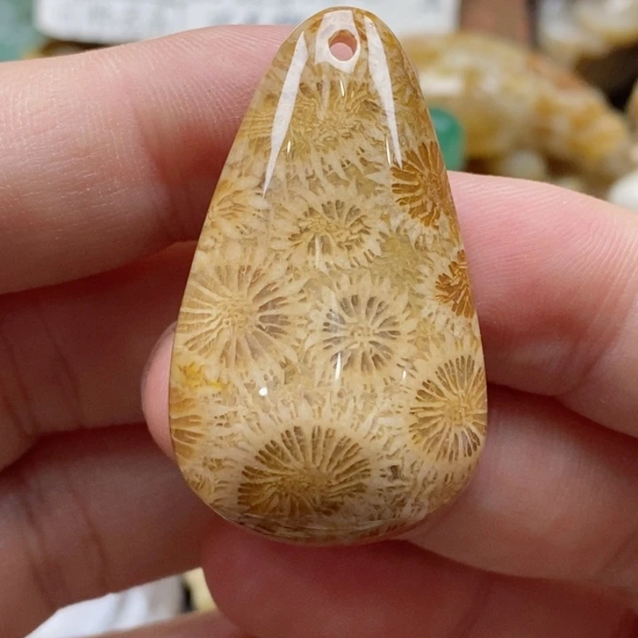 硅化珊瑚（珊瑚玉）颈饰未镶嵌