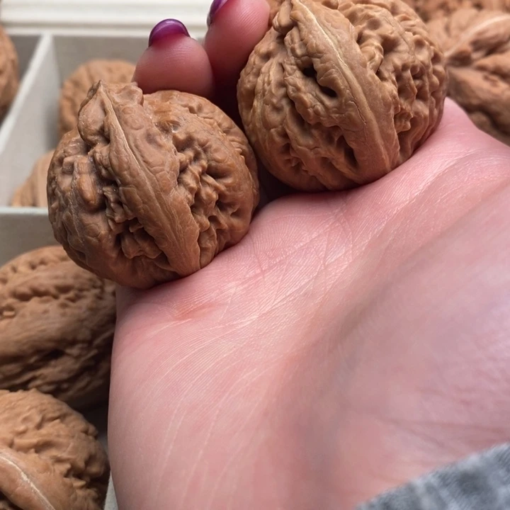 C****手串文玩核桃霸王龙