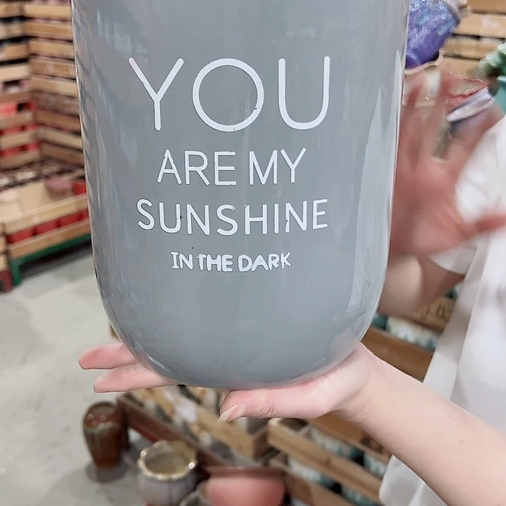 有孔，凑单福利满10元发货陶瓷多肉花盆！