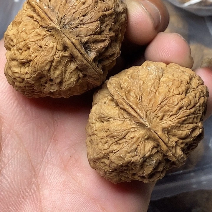 把件文玩核桃云南铁核桃43