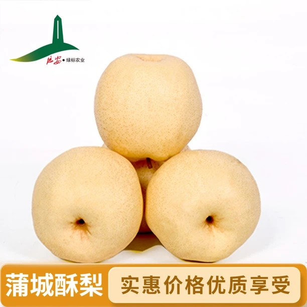 蒲城酥梨中果【京东包邮】正宗酥梨皮薄肉厚脆甜水润多汁砀山梨
