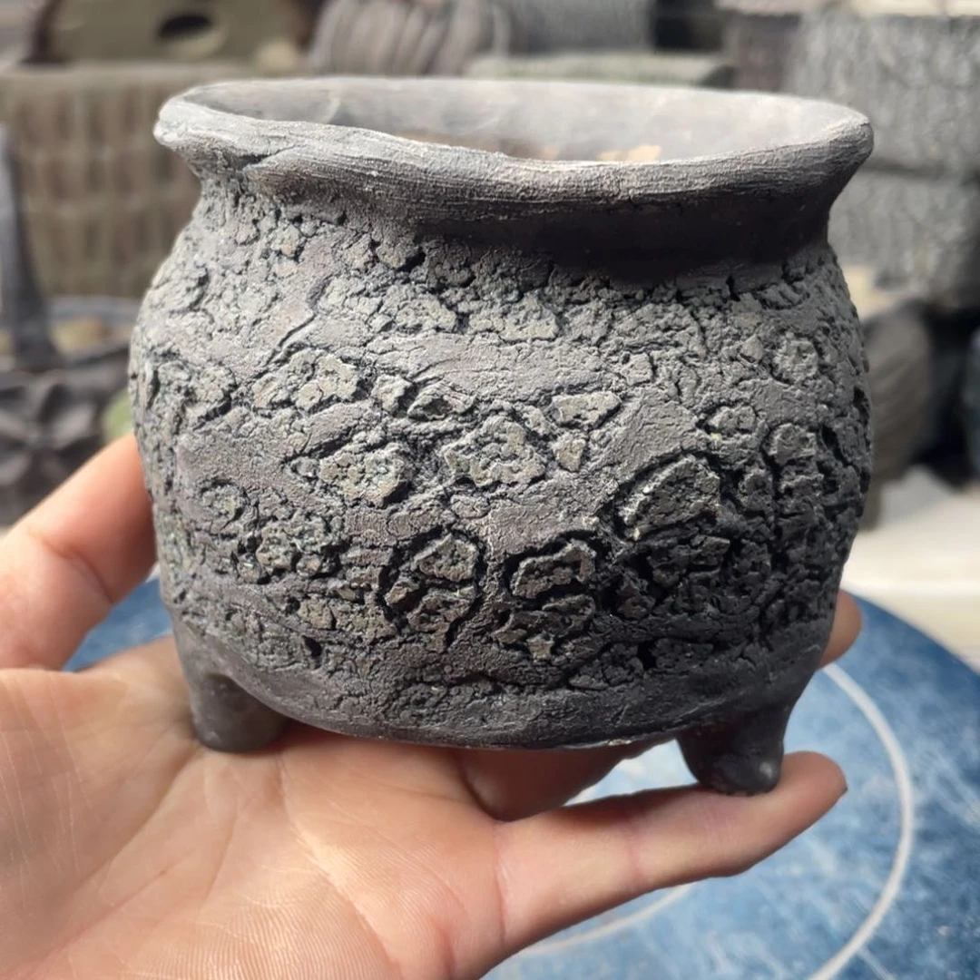 红陶一个人的时候就会