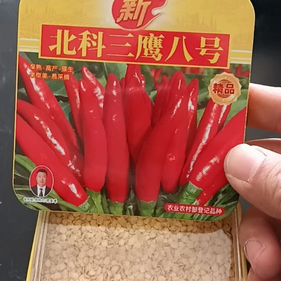 中国大陆柘城县辣椒大市场