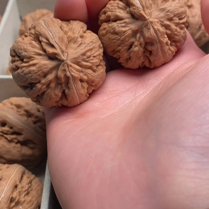 傑***霸王龙全品无修一刀没动