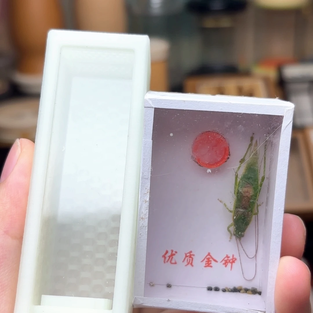 哈哈哈哈哈哈哈哈哈