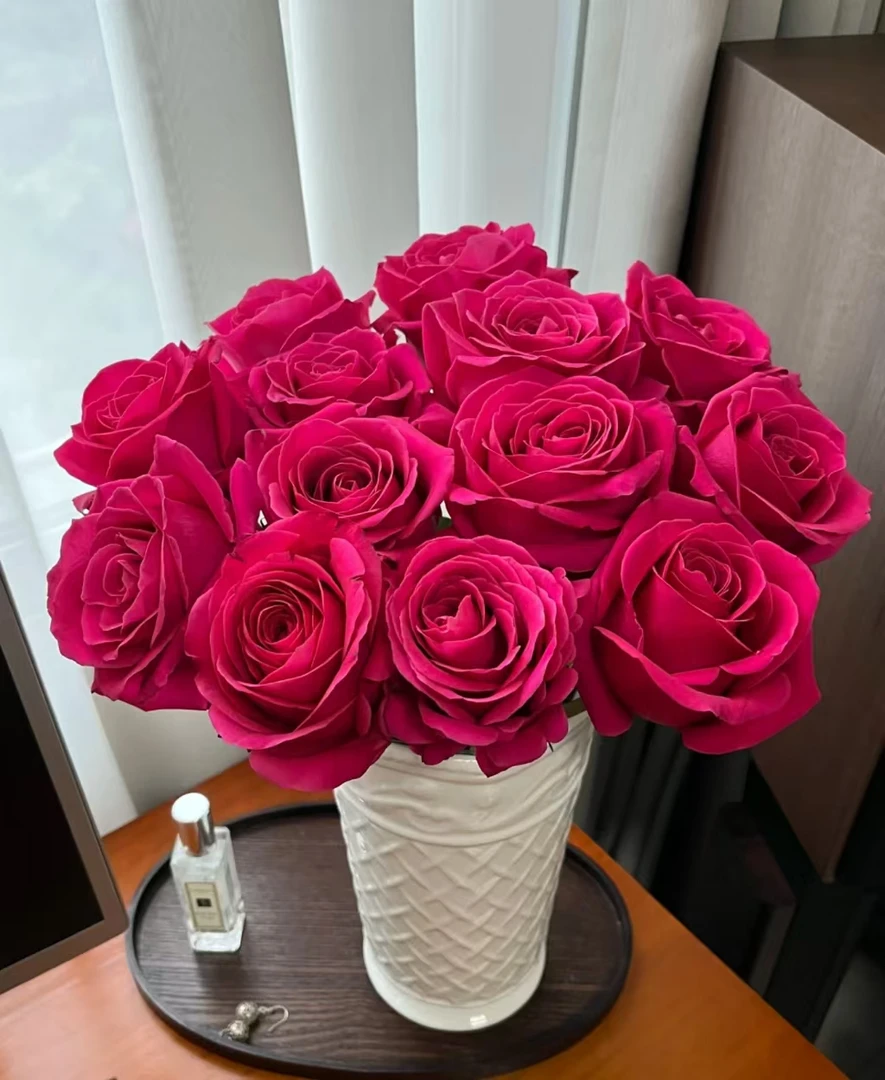 【弗洛伊德单头 玫瑰】全场任意两单顺丰/京东