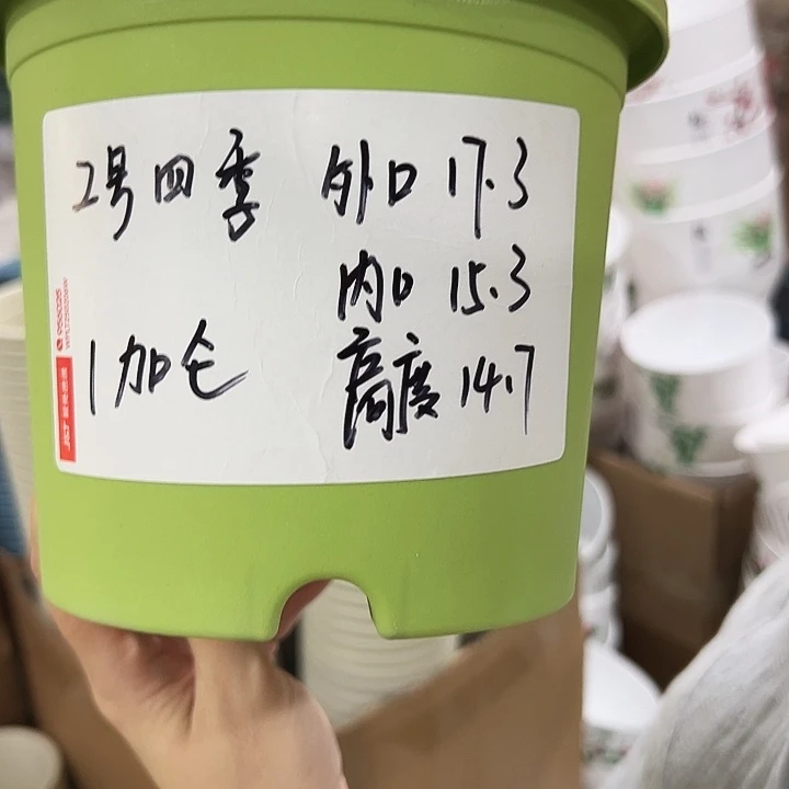 特价2号四季盆口17高14.5混色无托10只