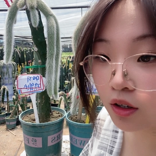 4837脱土发货无售后