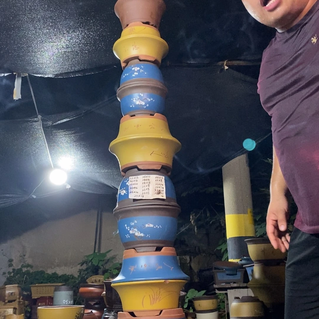 紫砂紫砂紫砂紫砂