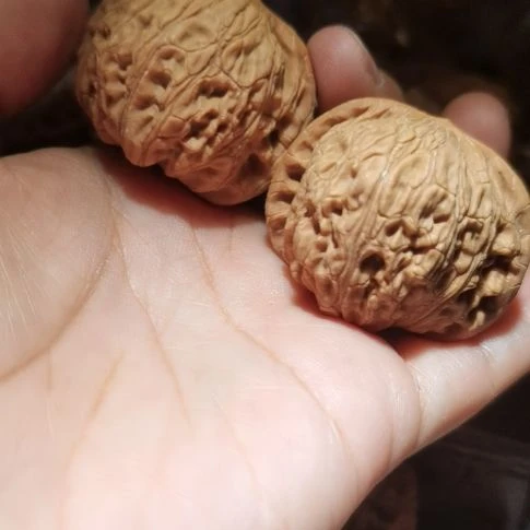 猴头核桃吊坠42泥鳅背