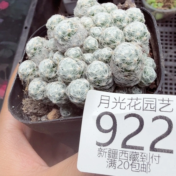 这个我是很看好啊我们922
