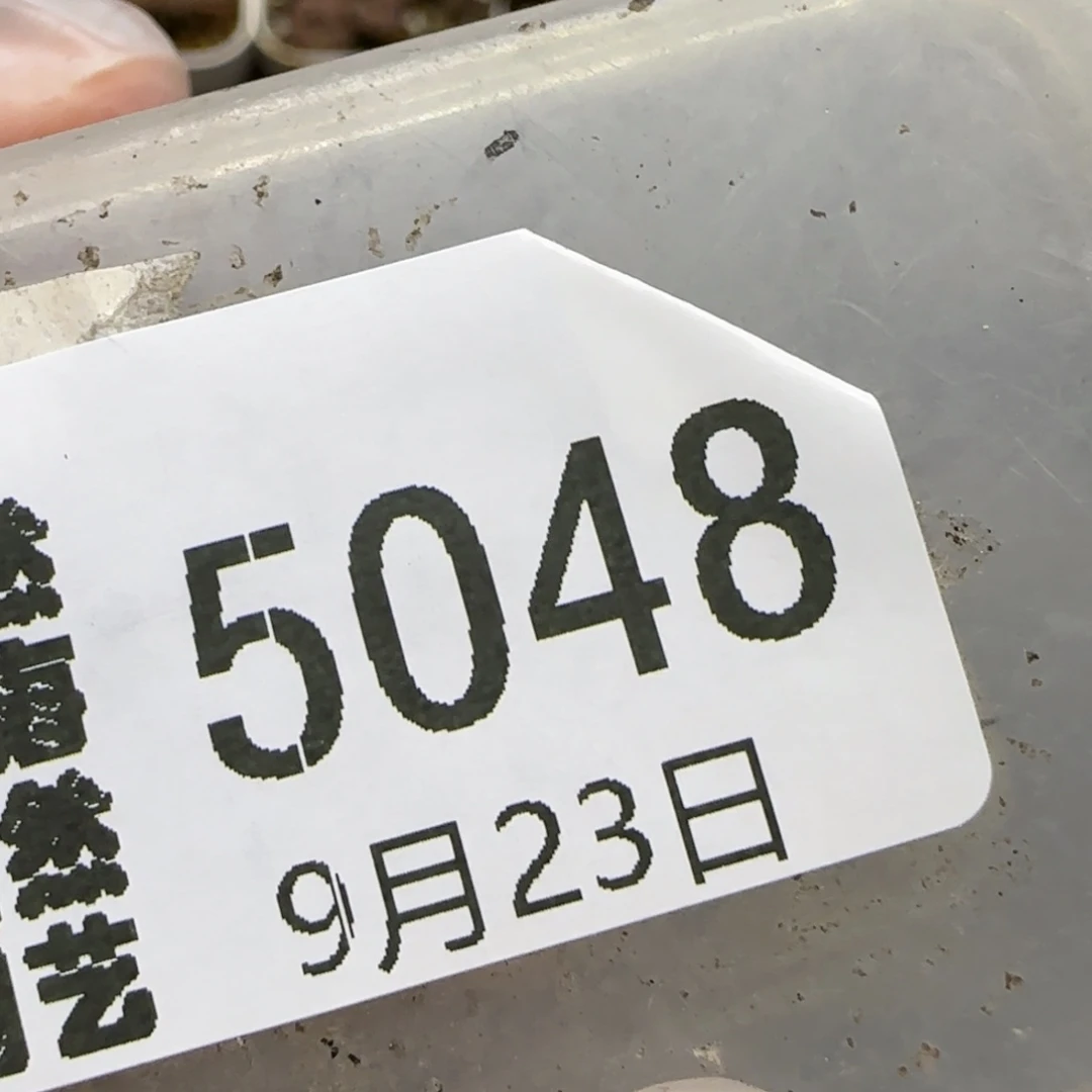 L***y9.23。福利217饼干。 5048