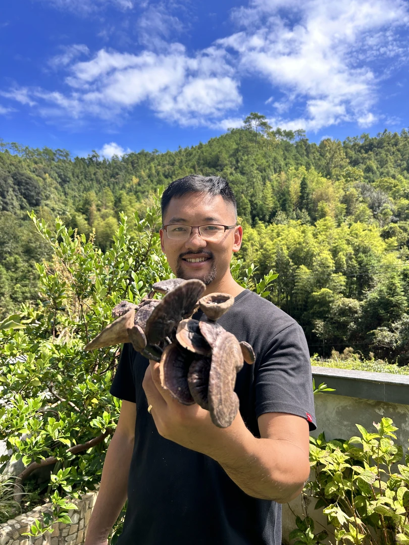 【稻悠悠】福建武平 小灵芝250g/500/g包邮