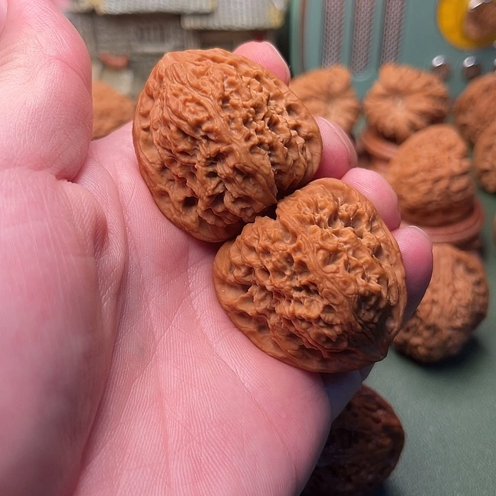 三角南将石涿鹿果