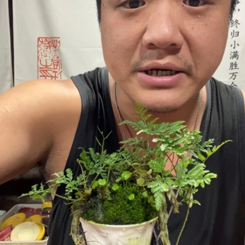 婴**单一物一拍所见即所得102