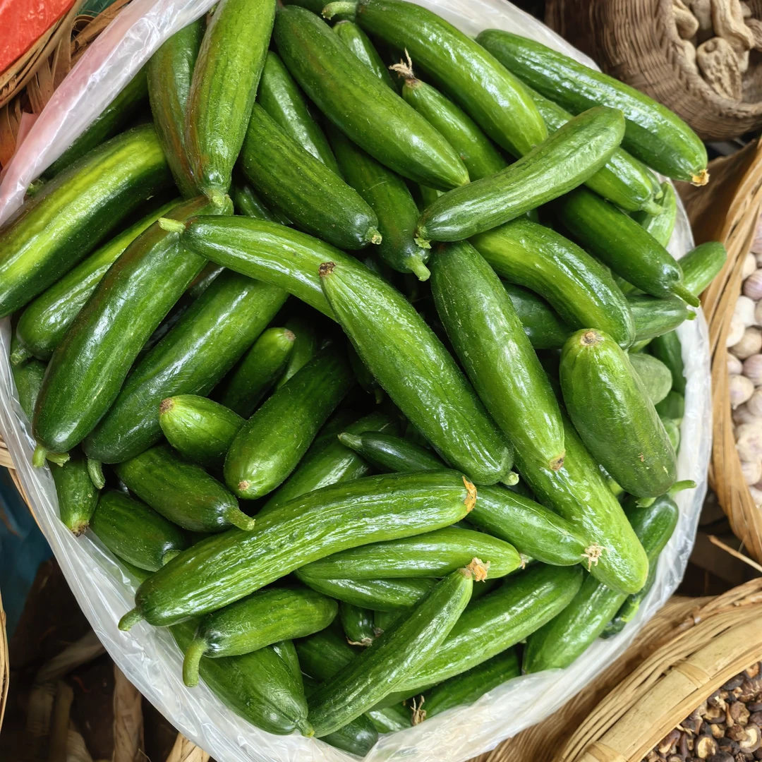 云南高山农家水果小黄瓜