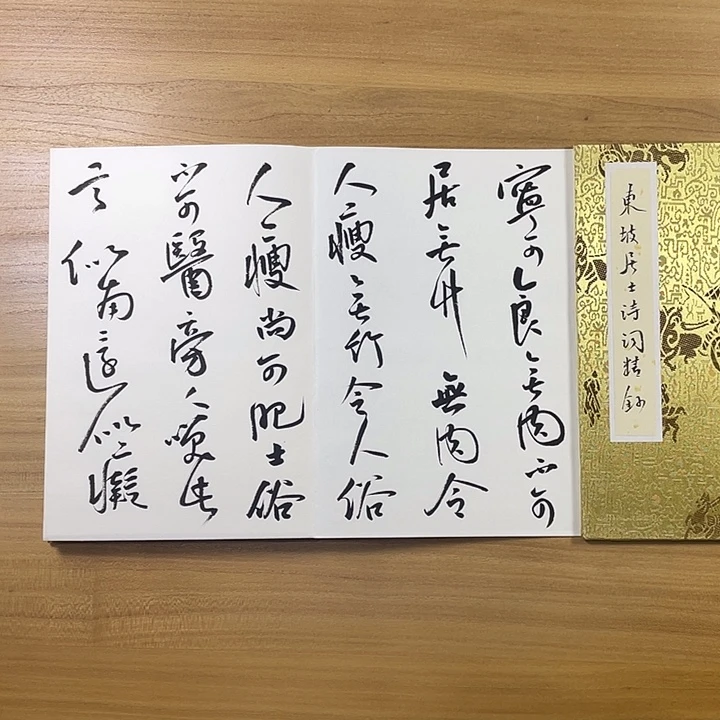 书法中书协会员作品