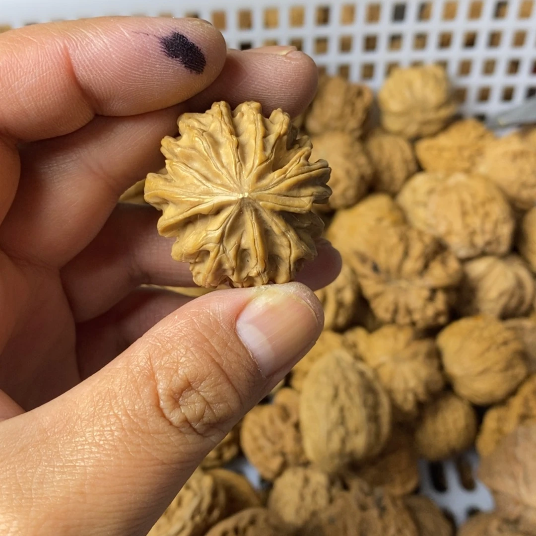 快***恼大叶紫檀（黑酸枝木类）
