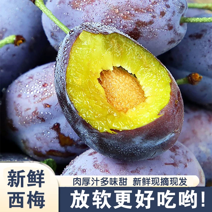 Q【放软更好吃】 正宗新鲜西梅 现采现摘 皮薄肉厚 酸甜多汁