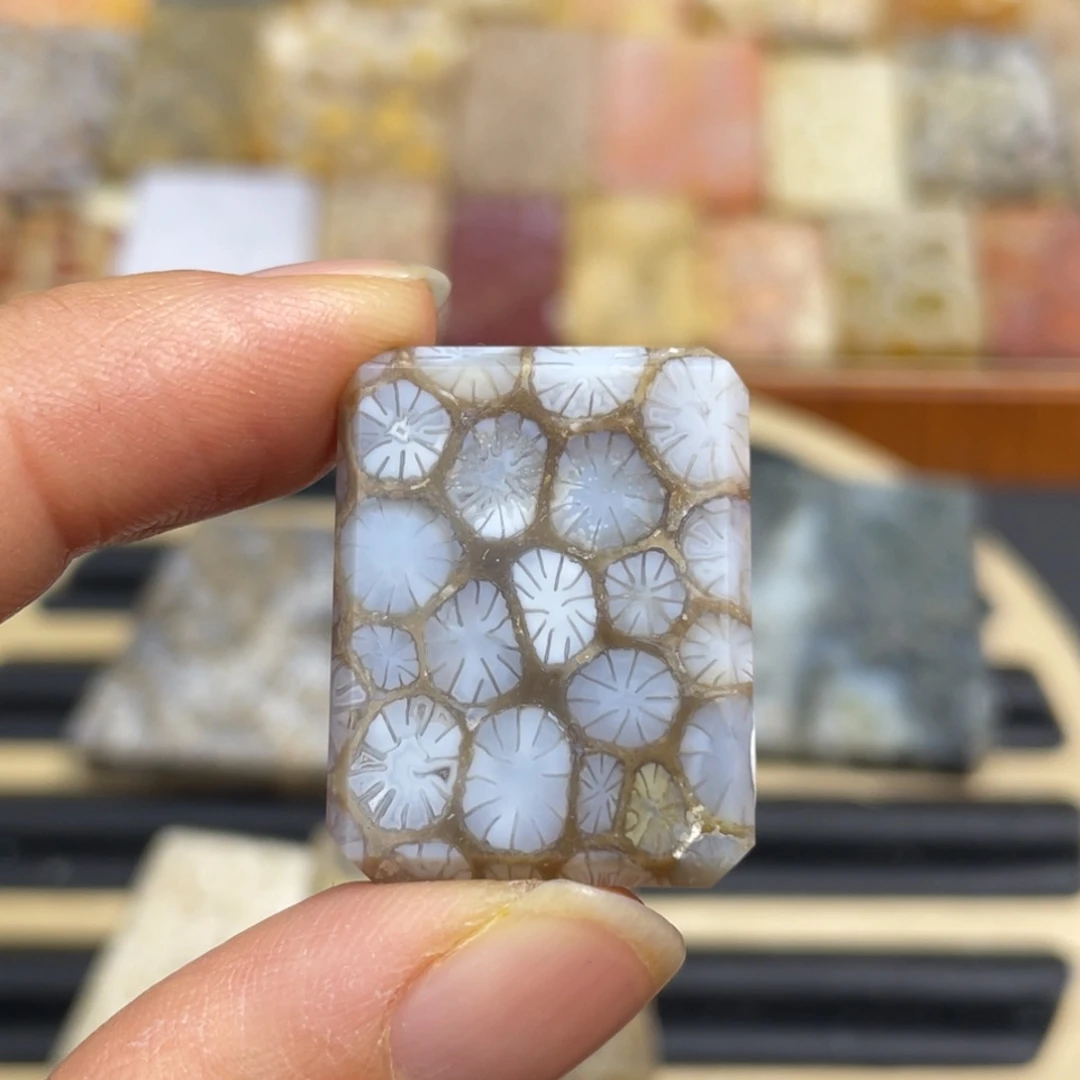 硅化玉未镶嵌颈饰k27