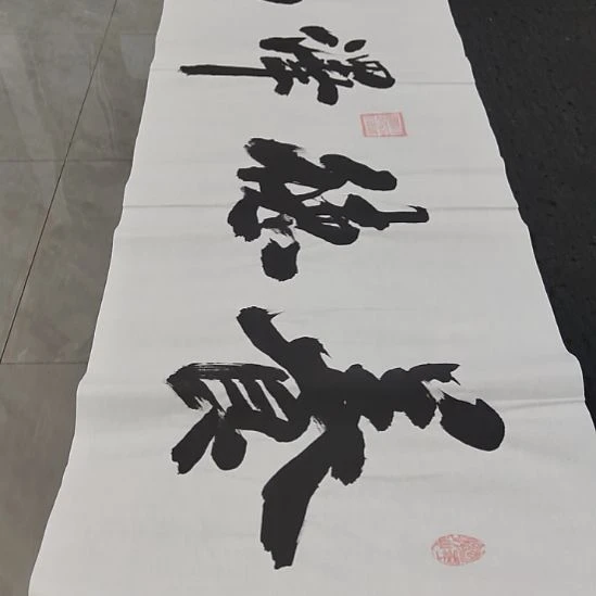 光***度洛伊书画申国栋老师作品一副
