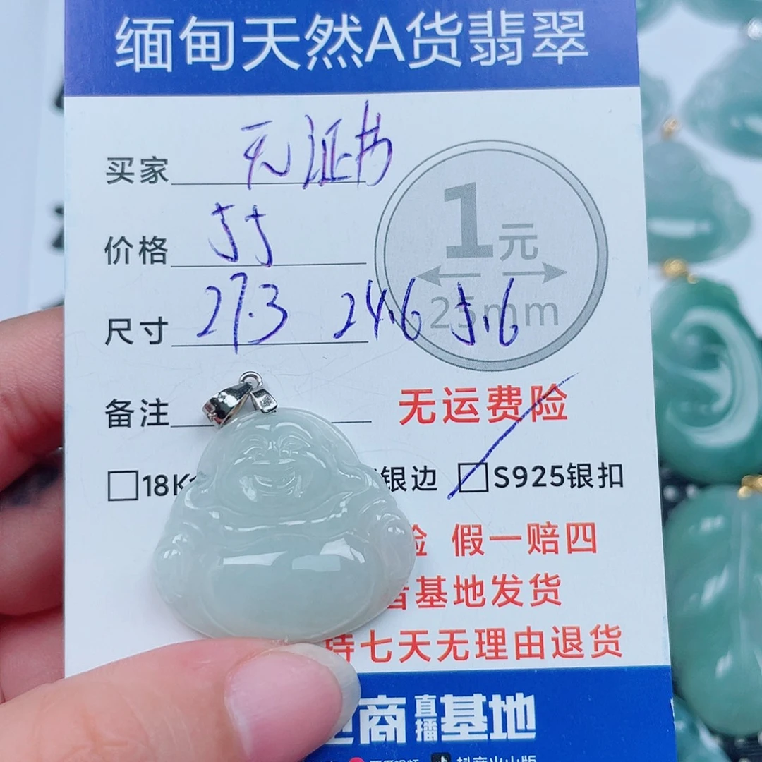 翡翠银S925镶嵌颈饰