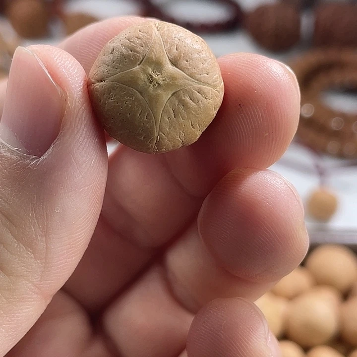 凤眼菩提手串尼泊尔小fy