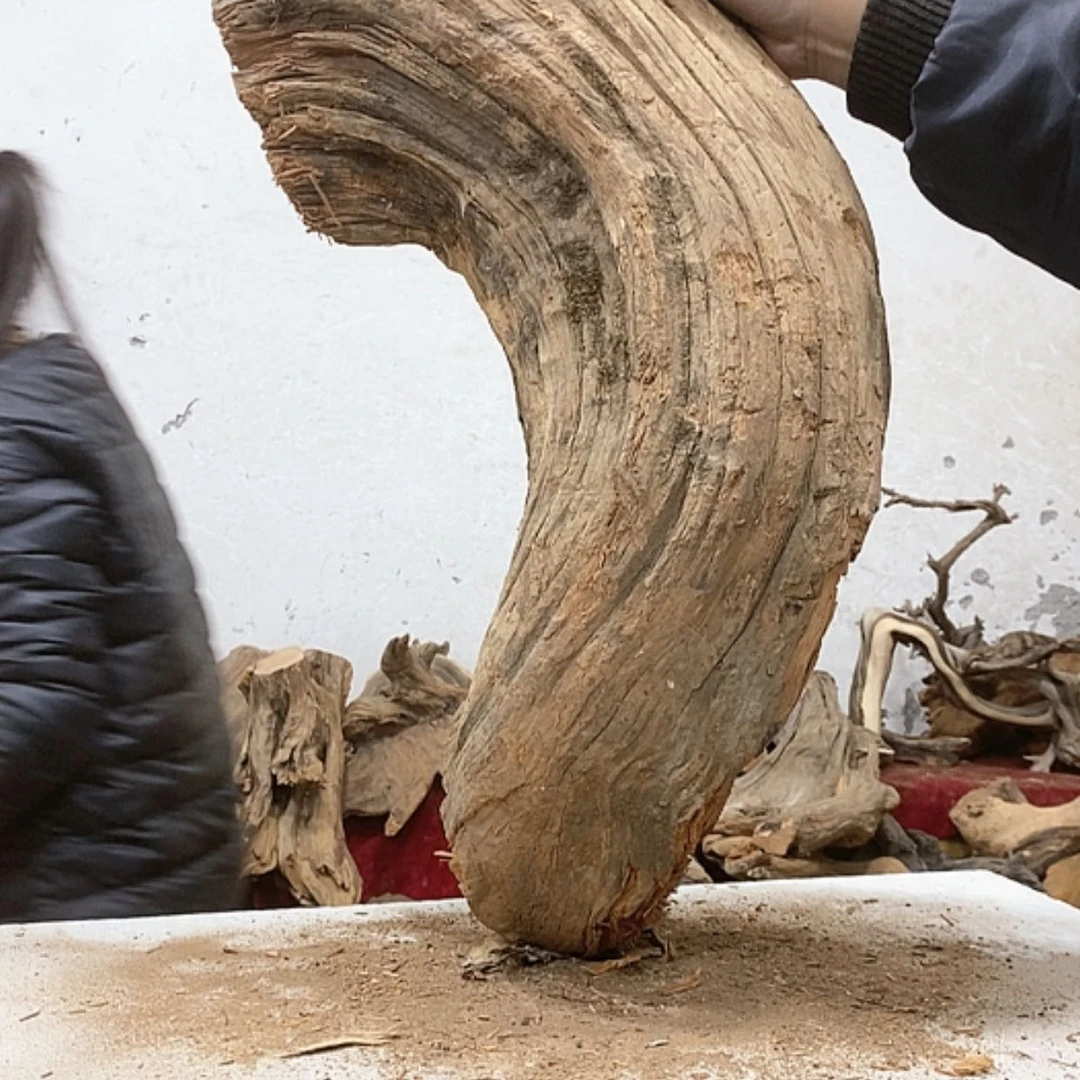 【闪购商品】柏木轩**龙我们都是好孩子